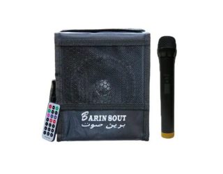 اکو مینی برین‌صوت BARIN SOUT 1530WI با میکروفن بی‌سیم و بلوتوث