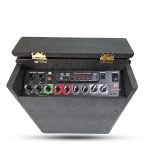اکو همراه رعد R 806P